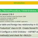 Lesson 5 – C# Class, Stored Procedure, Child Gridview, List Lesson 5 - C# Class, Stored Procedure, Child Gridview, List