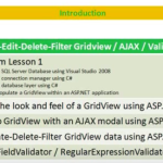 Lesson 4 - Gridview Manipulation / AJAX Modal Popup / Field Validators